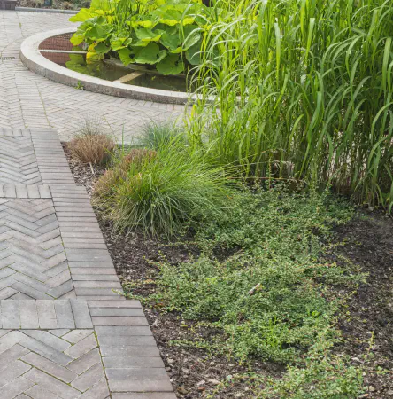 Suazo Builder Corporation